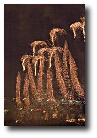 Fireworks photograph